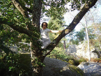 fontainebleau forest tree climbing france