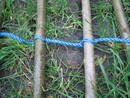 hazel jetty07