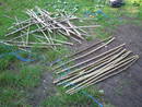 hazel jetty08