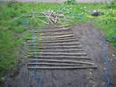 hazel jetty09