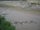 hazel jetty13