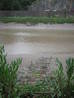 hazel jetty14