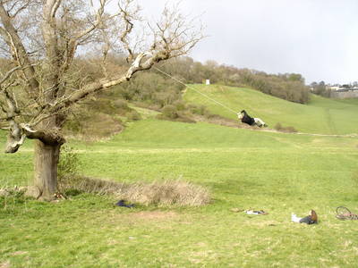 tree rope swing heath bunting purdown stoke park bristol