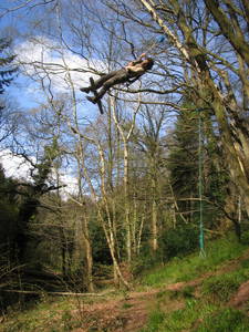 tree rope swing james kennard paradise bottom arboretum ravine leigh woods bristol