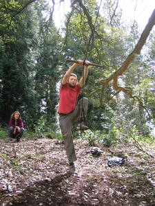 tree rope swing james kennard paradise bottom arboretum ravine leigh woods bristol