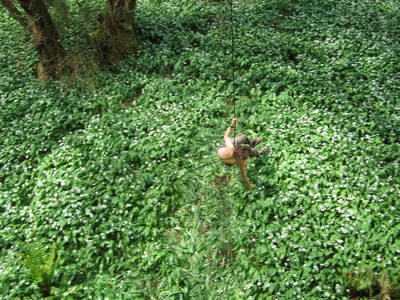 tree rope swing james kennard paradise bottom arboretum ravine leigh woods bristol