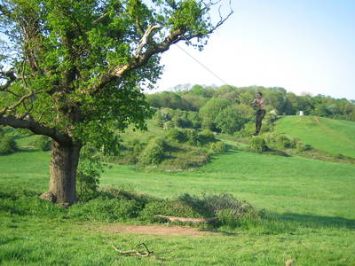 tree rope swing james kennard purdown stoke park bristol