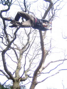 tree rope swing james kennard walcombe slade slope bristol avon gorge bristol