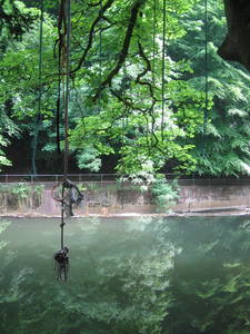 tree rope swing river frome oldbury court estate bristol