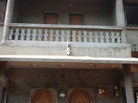  amuleto goa