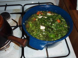 watercrest soup