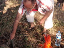  antonio planting carrots
