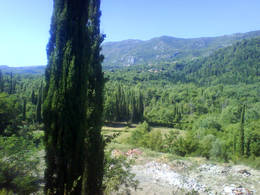 cypress three - montenegro