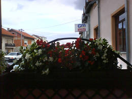  flower arangement