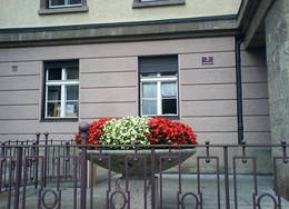  flower arangement