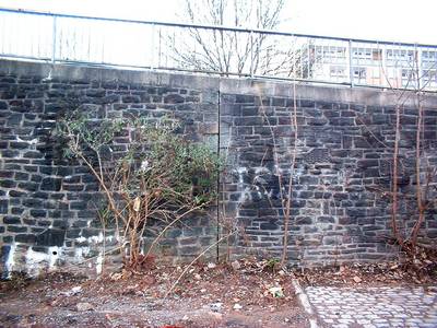 dove street bristol urban climbing crack