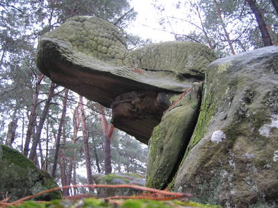 fontainebleau forest boulder rock