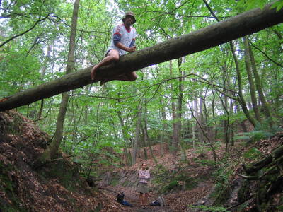 fontainebleau forest tree climbing france michael uwemedimo kate rich