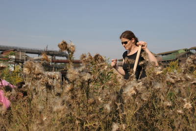 dortmund superweed workshop  undergrowth clearance