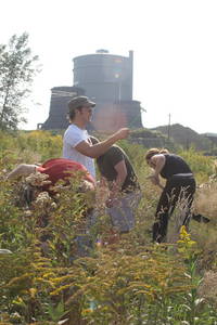 dortmund superweed workshop  undergrowth clearance