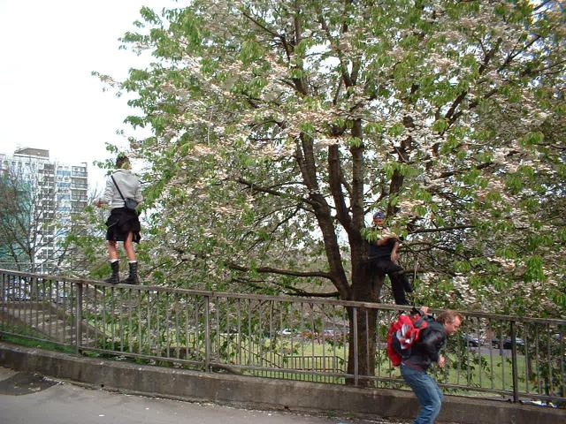 railwalk, backwards step & dismount
