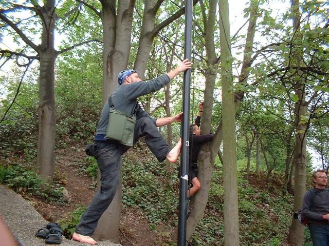 launch move for verticals: pole & trunk