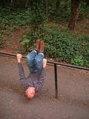 rail kneehang with hand grip