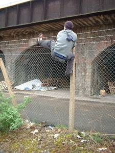 bristol avon street heath bunting barbed wire fence climbing