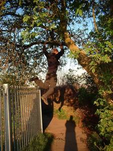 bristol st werburghs narroways heath bunting palisade fence climbing