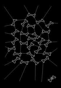 chalk graffiti bone structure bristol