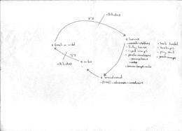 day plan019