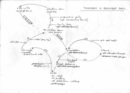 day plan061