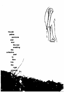 fly poster bristol rigid present