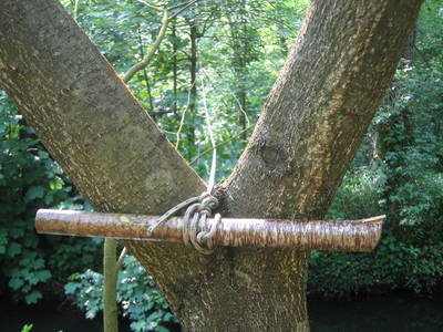throwing stick placement