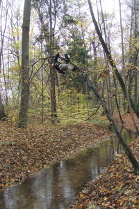heath bunting basel tree climbing