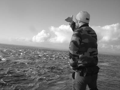 heath bunting sand bay
