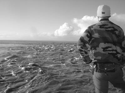 heath bunting tidal current sand bay