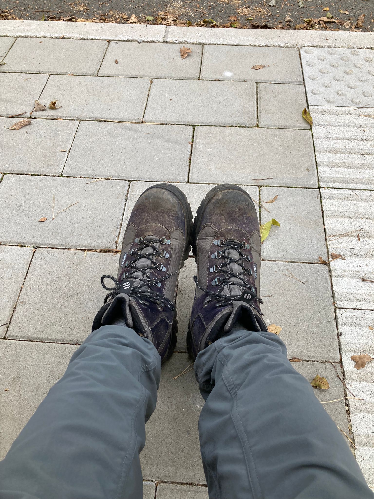 tofu no money hand shake