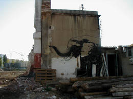 parc central elefante