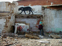 parc central pantera