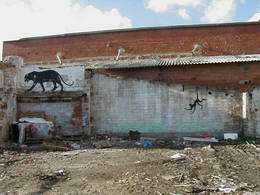 parc central pantera mono