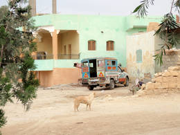 Fayum tunis street