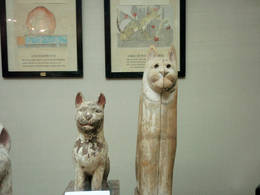agro museum cats