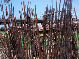 dahab cane weaving