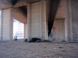 dahab under bridge