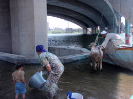 dahab under bridge washing