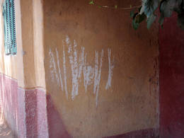 dahab wall drawing