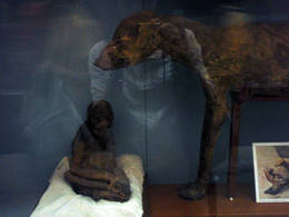 dog monkey mummies