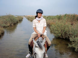 fayum horse ride