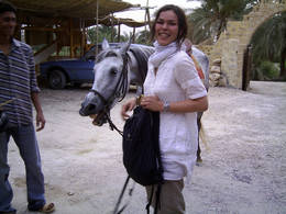 fayum horse ride